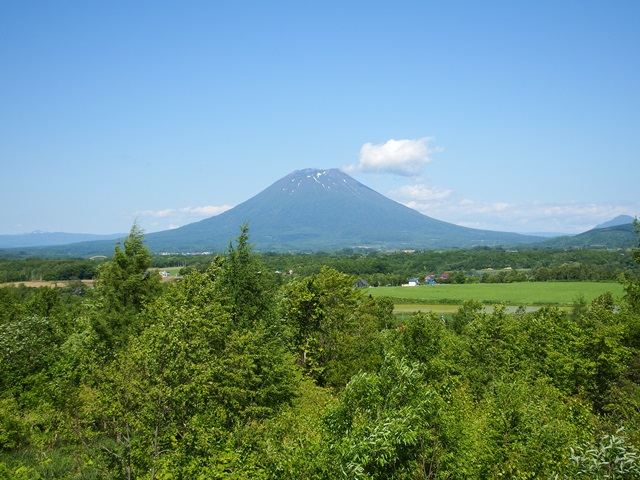 ニセコ不動産(土地)画像52