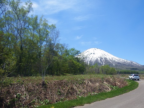 ニセコ不動産（土地）画像２