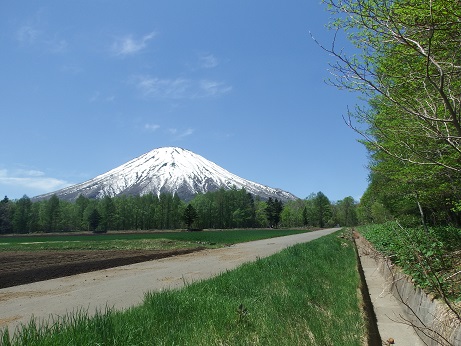 ニセコ不動産（土地）画像１