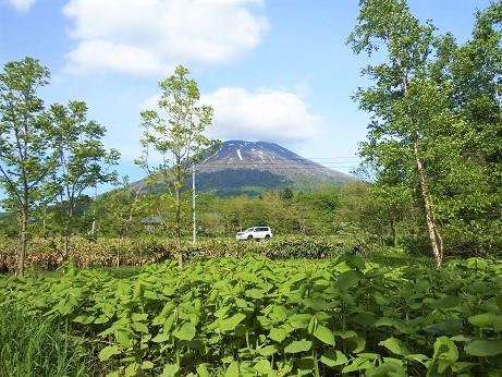 ニセコ不動産（土地）画像１