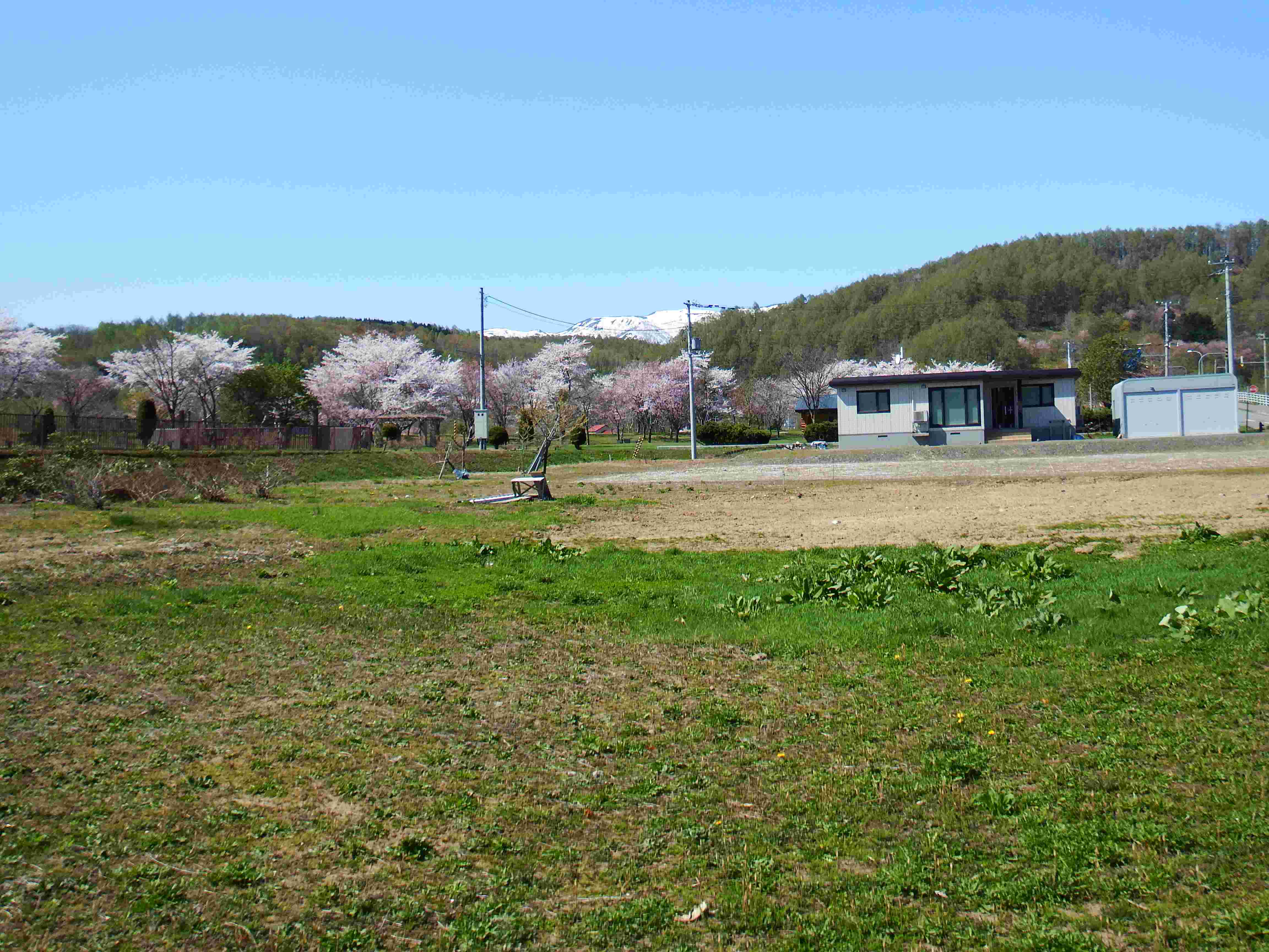 ニセコ不動産（土地）画像１