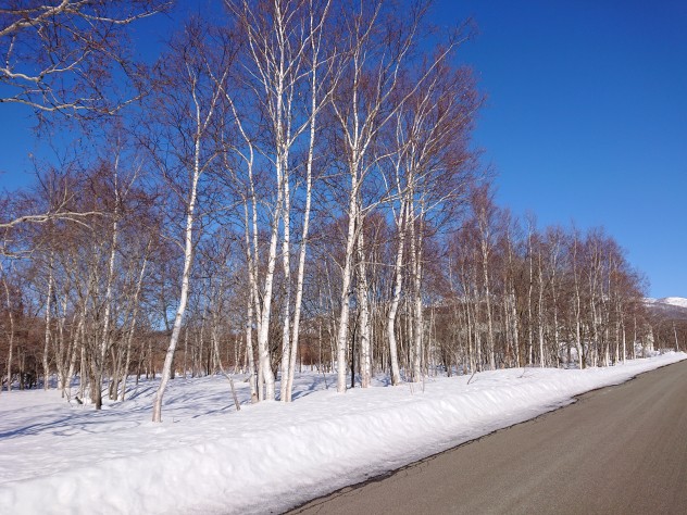 ニセコ不動産（土地）画像