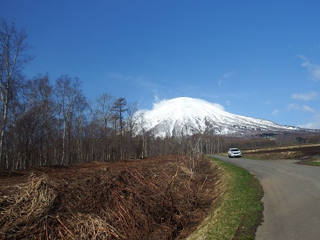 ニセコ不動産(土地)画像80