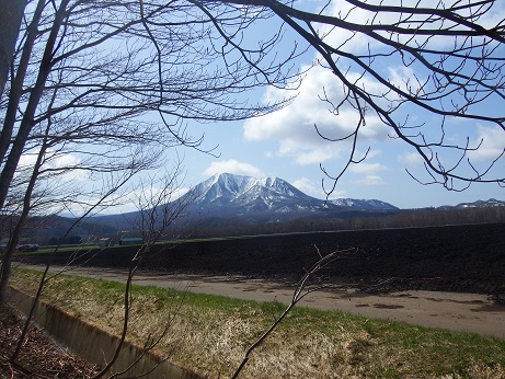 ニセコ不動産（土地）画像４