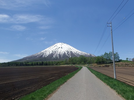 ニセコ不動産（土地）画像３