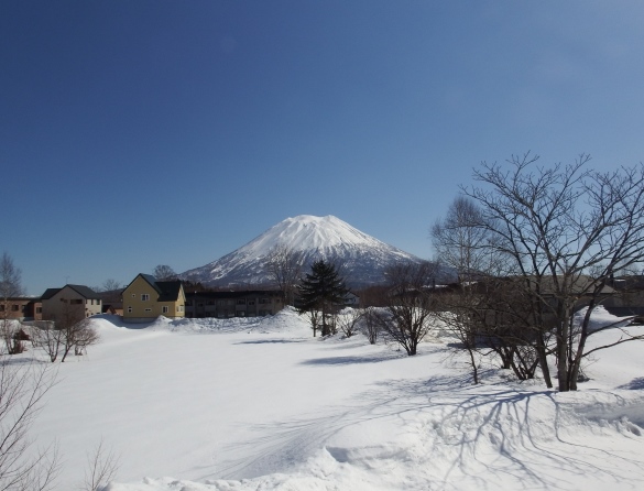 ニセコ不動産（土地）画像７１