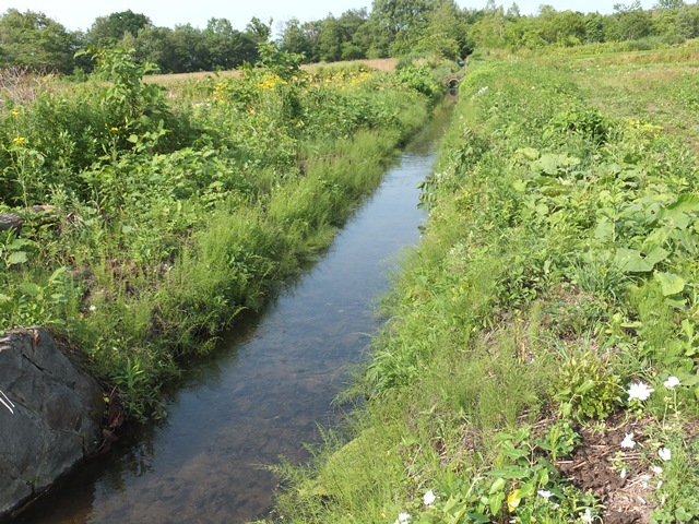 �j�Z�R�s���Y�i�y�n�j�摜�T