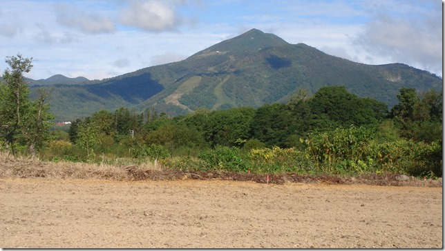 �j�Z�R�s���Y�i�y�n�j�摜�P