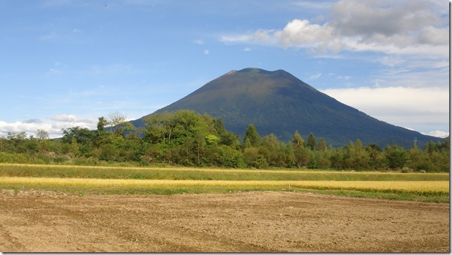 �j�Z�R�s���Y�i�y�n�j�摜�Q