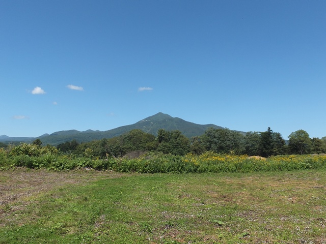 �j�Z�R�s���Y�i�y�n�j�摜�R