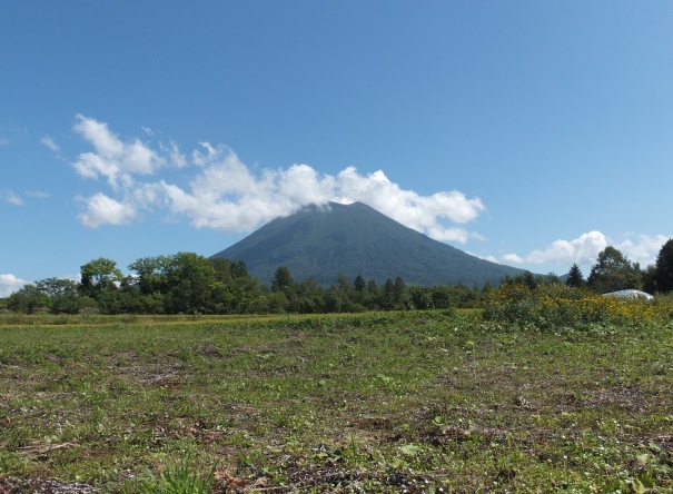 �j�Z�R�s���Y�i�y�n�j�摜�S