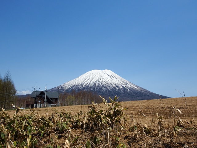 ニセコ不動産（土地）画像４９