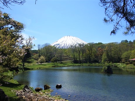 ニセコ不動産（土地）画像８