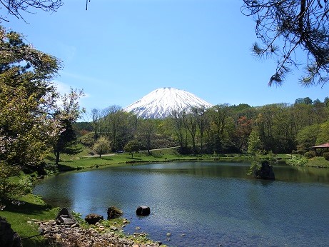 ニセコ不動産（土地）画像８