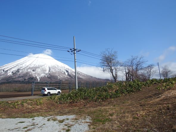 ニセコ不動産（土地）画像３