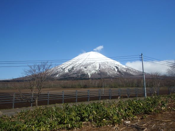 ニセコ不動産（土地）画像１