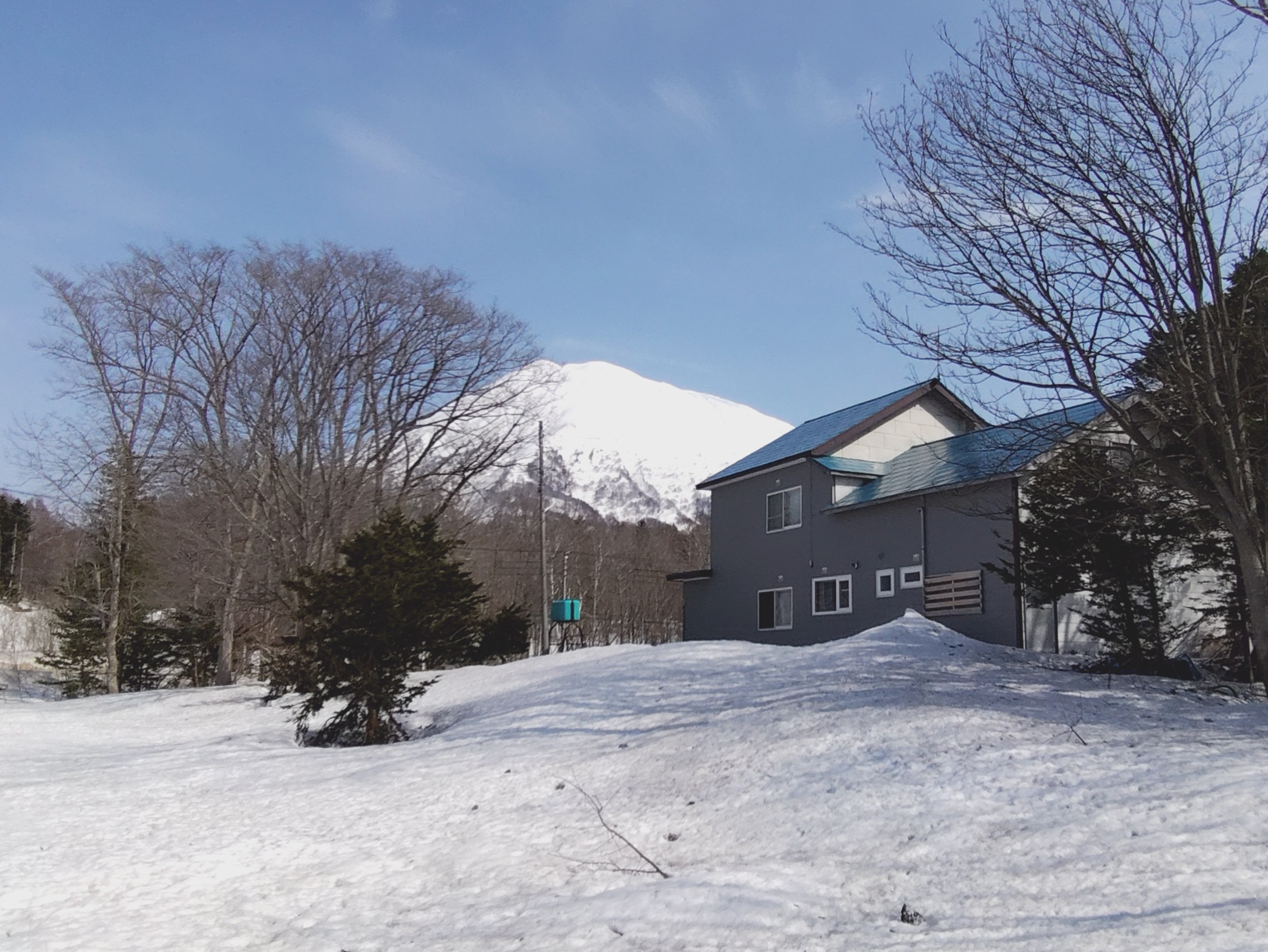 ニセコ不動産（土地）画像３