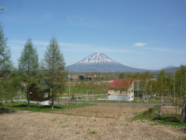 ニセコ不動産（土地）画像１１