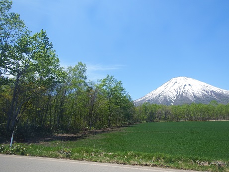 ニセコ不動産（土地）画像３