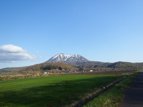 ニセコ不動産（土地）画像４