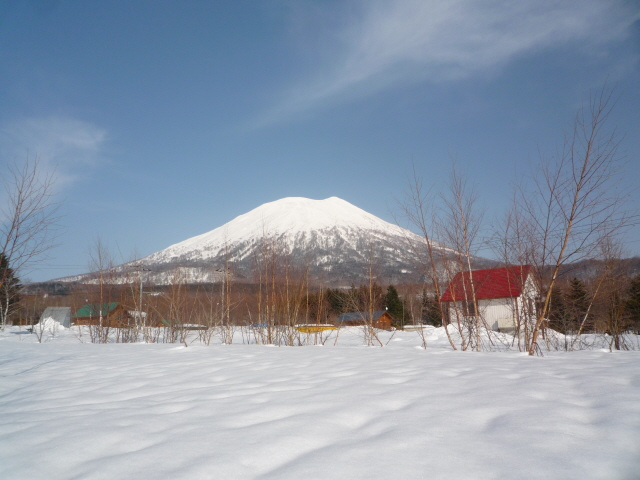 ニセコ不動産（土地）画像４