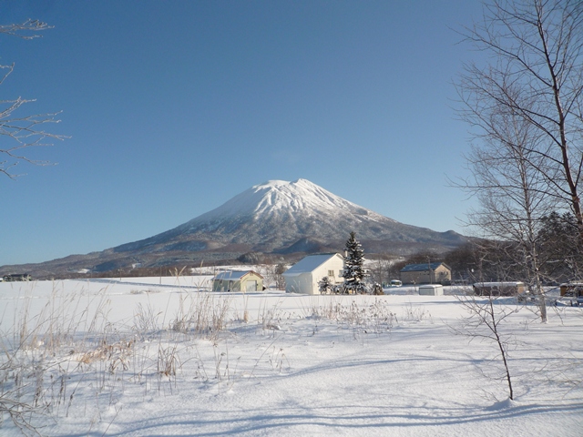 ニセコ不動産（土地）画像５