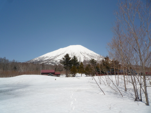 ニセコ不動産（土地）画像１６