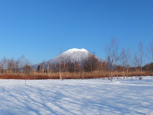 ニセコ不動産（土地）画像２４