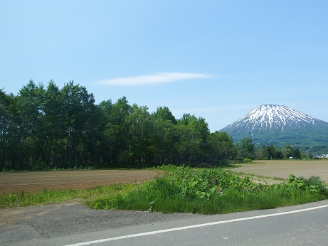 ニセコ不動産（土地）画像２