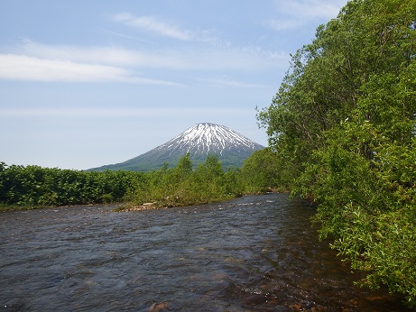 ニセコ不動産（土地）画像４