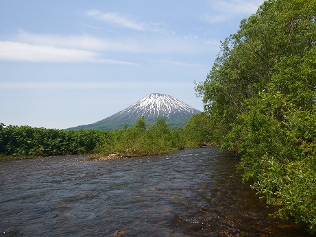 ニセコ不動産(土地)画像83