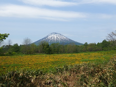 ニセコ不動産（土地）画像１