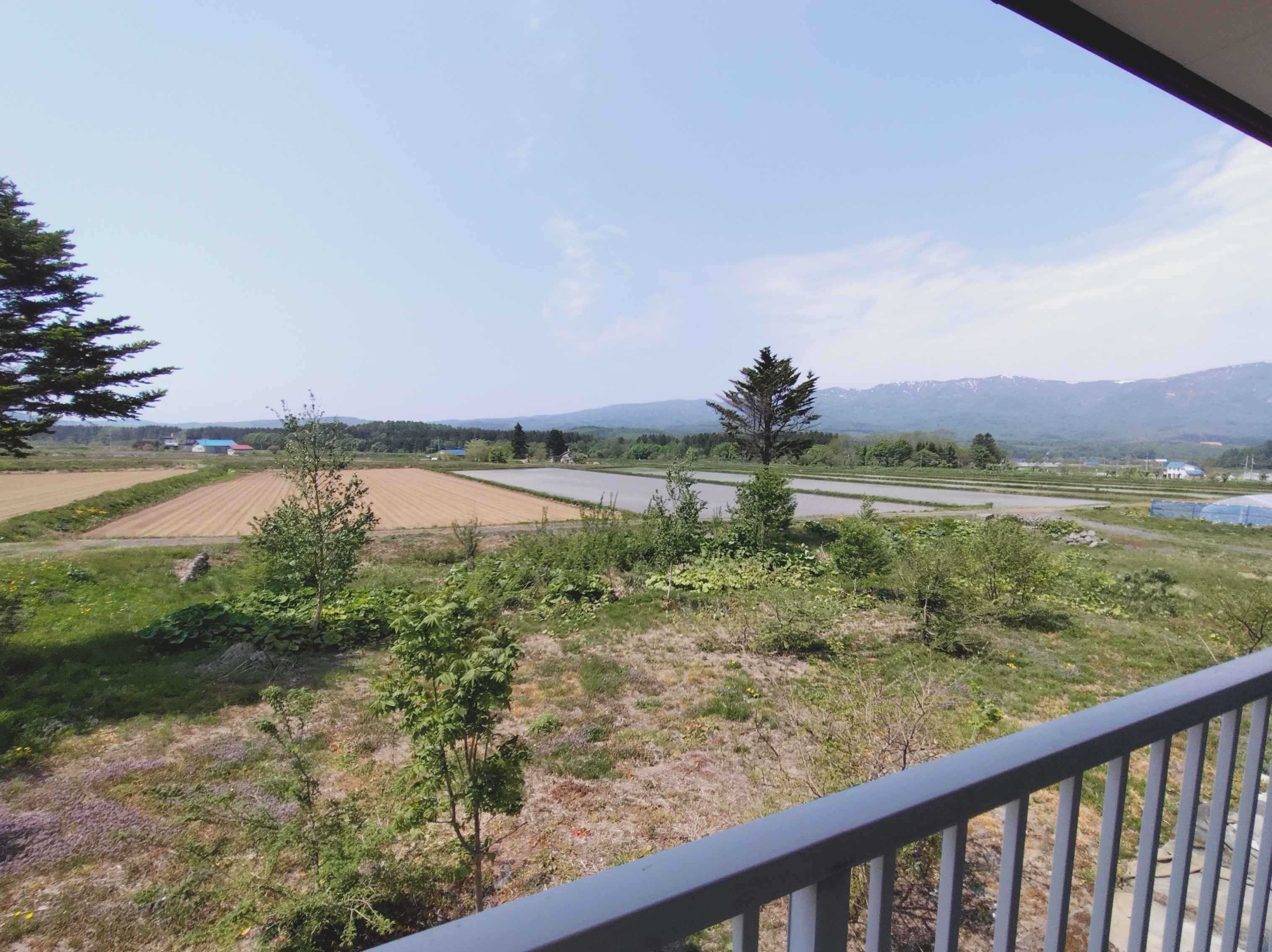 ニセコ不動産（中古物件）画像１４