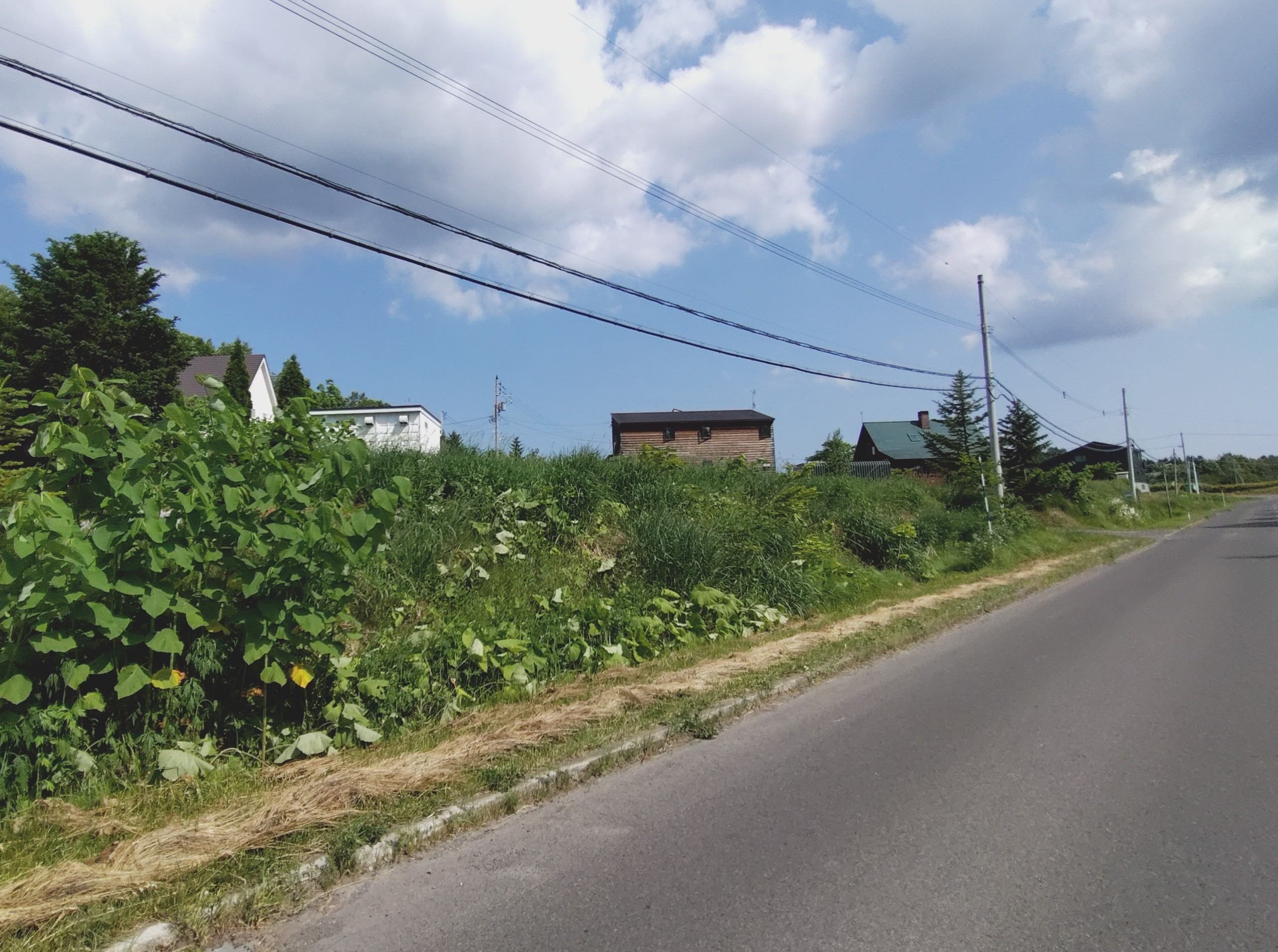 ニセコ不動産（土地）画像３