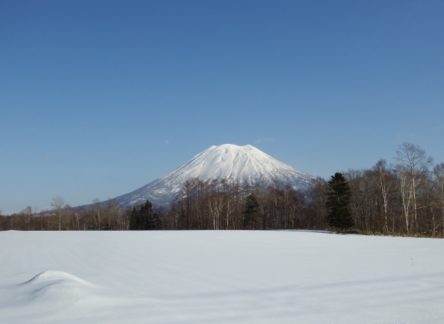 ニセコ不動産（土地）画像４５