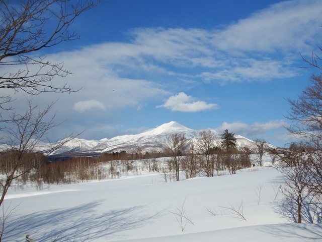 ニセコ不動産（土地）画像４