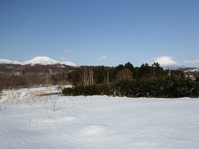 ニセコ不動産（土地）画像４