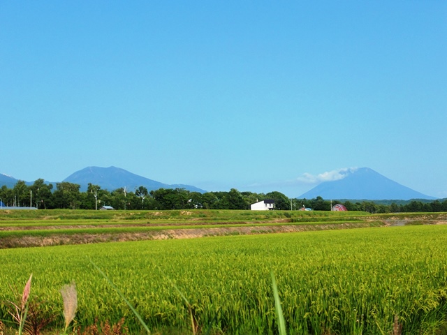 ニセコ不動産（土地）画像５６