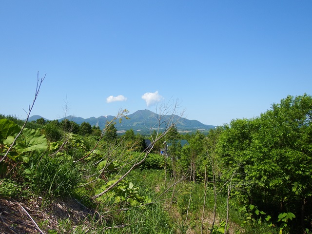ニセコ不動産（土地）画像２