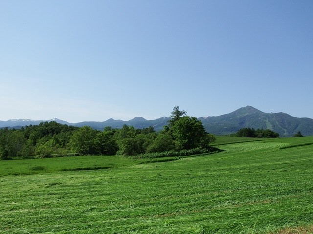 ニセコ不動産（土地）画像３