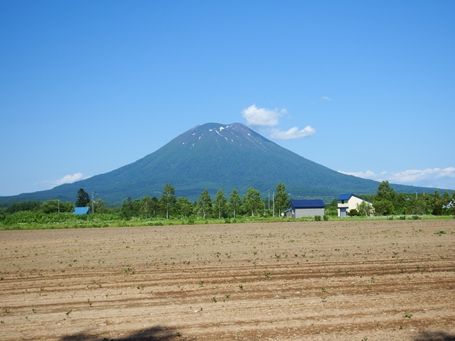 ニセコ不動産（土地）画像６６