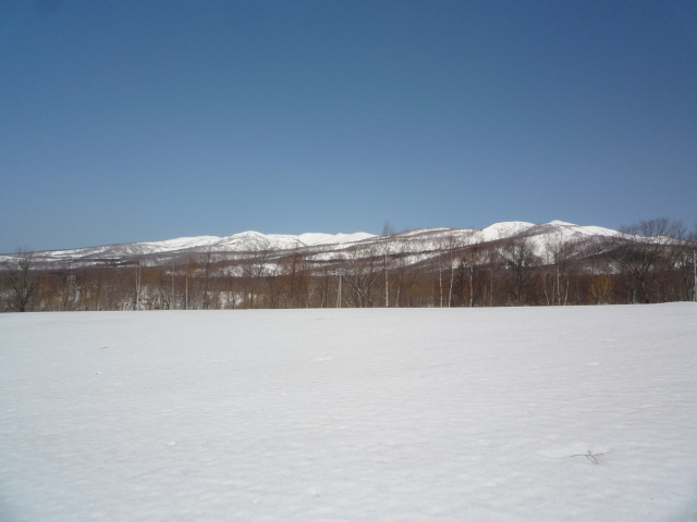 ニセコの不動産（土地）画像１９