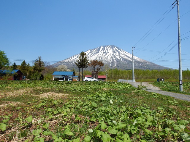 ニセコ不動産（土地）画像３５