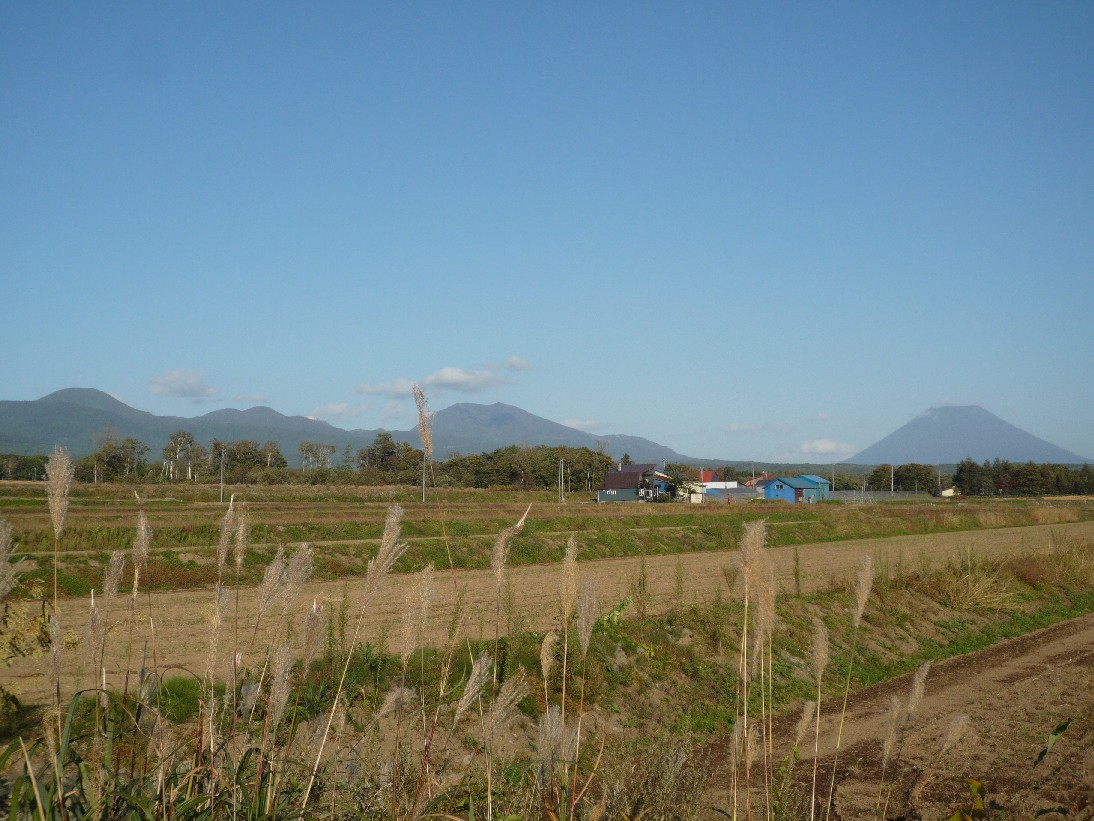 ニセコ不動産(土地)画像1