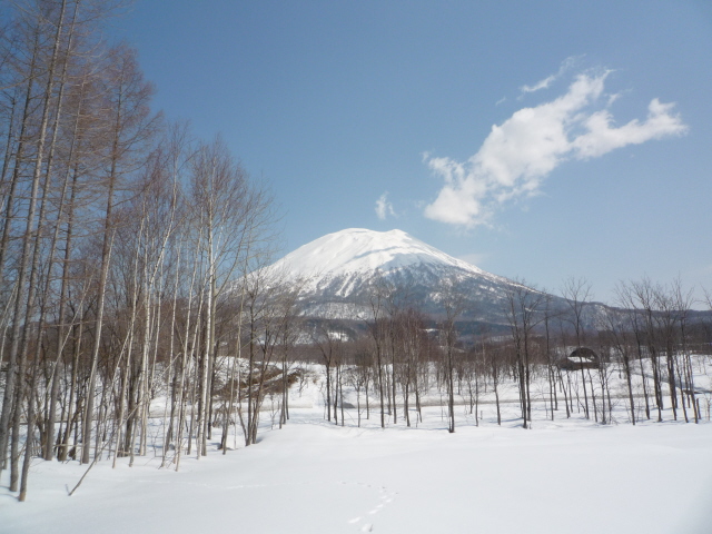 ニセコ不動産（土地）画像７