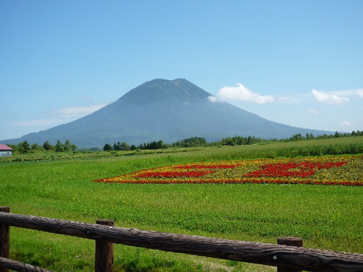 ニセコ不動産（羊蹄山）画像１